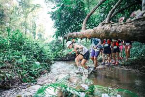 BIB: 
                            <button type="button" onclick="openModal(25453595)" class="btn btn-primary btn-sm float-right btn-popup" data-toggle="modal" data-target=".modal-high-quality">
                        <i class="fas fa-shopping-cart"></i> Add to Cart
                    </button>
                                            <button type="button" onclick="isThisMe(25453595, true)" class="btn btn-success btn-sm float-right btn-popup btn-isme hidden" data-toggle="tooltip" data-placement="bottom" title="นี่คือรูปของคุณใช่ไหม คลิกที่นี่เพื่อเอาเข้าอัลบั้ม">
                        <i class="fas fa-plus"></i> Add to album
                    </button>
                    <button type="button" onclick="isThisMe(25453595, false)" class="btn btn-warning btn-sm float-right btn-popup btn-isnotme hidden">
                        <i class="fas fa-ban"></i> Remove from album
                    </button>